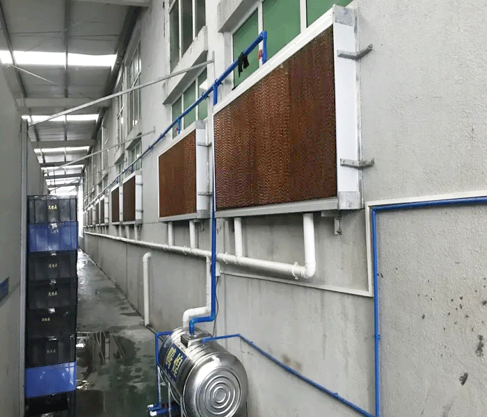 為什么水簾可以降溫，到底有什么特點呢